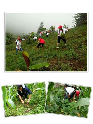 说明: C:\Users\asus\Documents\Tencent Files\1148797782\Image\C2C\992C267C219B47F422A86C1D311F63D7.jpg
